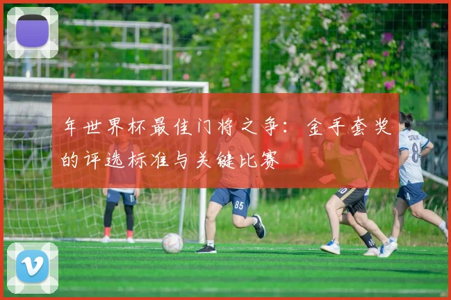 年世界杯最佳门将之争：金手套奖的评选标准与关键比赛